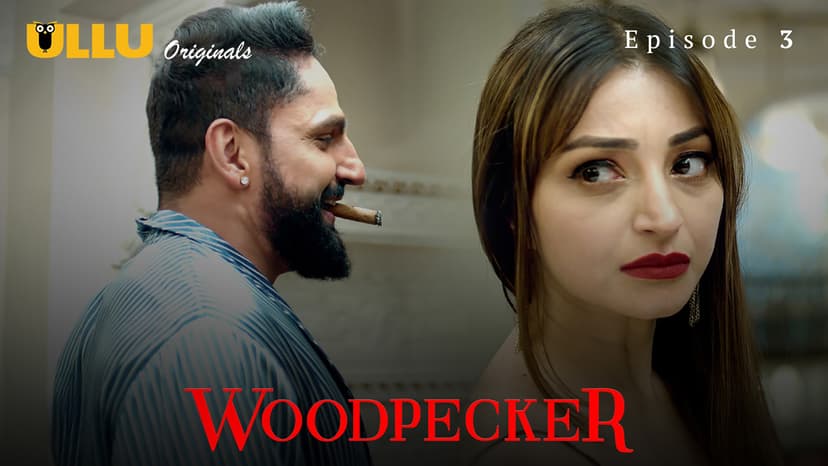 Thumbnail for Woodpecker - Woodpecker : Episode 3